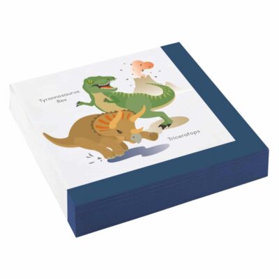 Dinosaur Napkins (16)