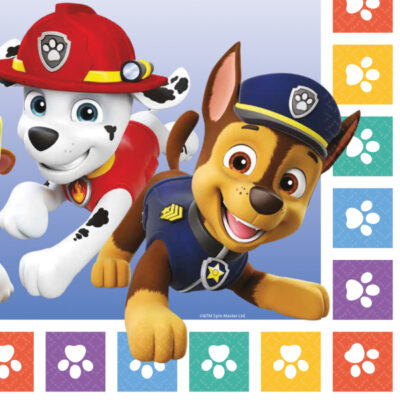 Paw Patrol Napkins (16)